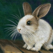 Angela Matuschka - “Cautiously Curious” – www.angela-matuschka.jimdo.com