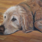 Gail Laws - “Carter” – glaw@shaw.ca