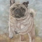 Cat Denby - “Super Hero” – www.artbycatonline.com