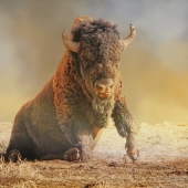 Maureen Ravnik - “Power and Attitude” – www.maureenravnik.crevado.com