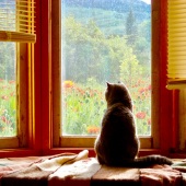 Tiina Bockrath - “Daydreaming” –  tiina7@earthlink.net