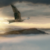 Andrew Haysom - “Soaring” – www.andrewhaysom.myportfolio.com