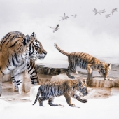 Lou Ann Goodrich - “Winter's Stress” – www.louanngoodrich-photoartist.com