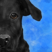 Kyra Mobley - “Arlo” –  www.k9ky65.wixsite.com/kyramobleydesign