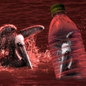 Carmen Traub - “He Sees Himself in a Plastic Ocean” – www.endangeredspecies2050.com