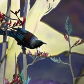 Lynn Campbell – “Tui” - www.facebook.com/LynnCampbellArtbyWolfeyes