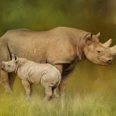 Helen Akerstrom – “Pampoen and Bakhita” - www.facebook.com/helen.akerstrom