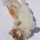 .   Irene Clark - “Tranquility” – www.feltaccompli.com