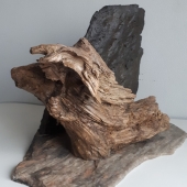 Sandra Veillette - “Inspiration Artistique (Ram)” – www.lesaimantsdelanature.ca