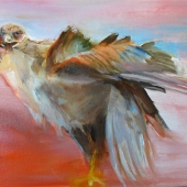 Judy Nakari - “Hawk Fury” – www.judynakari.com