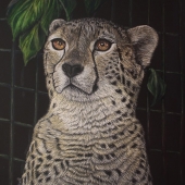 Sally Terrell - “Don't Fence Me In” –  www.havenhillstudios.com