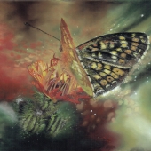 Kaz Turner - “Fleeting Beauty” –  www.kazturner.com