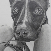 Rachel Schott - “Cooper” –  rms13@albion.edu