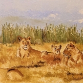 Sidhartha Pani - “Waiting for the Kill” – www.sidharthapani.com