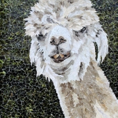 Tamara Jaeger - “Playful Day” – www.tamarajaeger.com