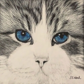 James Hoch - “Icy Eyes” – www.zamescreations.com