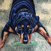 Nadine Surjik - “Play” – www.nadinesurjik.com