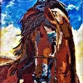 Laura Prevratil - “The South Wind” –  lauranncp@gmail.comd”