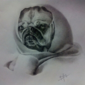 Nandha Kumar Viswanathan - “Bulky Beauty” – nandhakumar1901@gmail.com