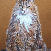 Donna Lee – “Fuzzy Kitty” - donnaylee@centurytel.net