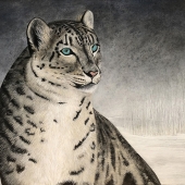 Tricia Evenson – “Silence Speaks” – www.triciaevenson.com