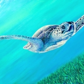 2Jasmine Masako Elliott – “Persephone” - www.punchpourpaint.com