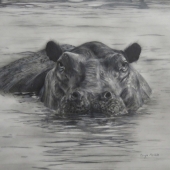 Caryn Coville - “Afternoon Dip” –  www.caryncoville.com