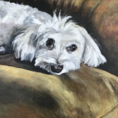 Ivana Okereke - “Romeo” –  ivana.okereke@gmail.com