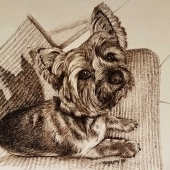 Yogamy Ferreras-Farley - “Nestley” – www.instagram.com/yogamyff