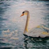 Debi Davis - “Elegance” – www.debidavisart.com