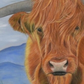 Avery Anderson - “Highland Beauty” – www.averyandersonanimalart.com