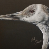 Ashley Roll - “Survivor” – www.facebook.com/HoneyberryDoodleStudio