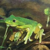 Chih-Mei Chiu - “Taipei Tree Frog” – www.artmajeur.com/zh/alicechiu8162/presentation