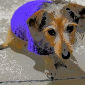 Vanessa Colerick - “Katie Sue” – dixieland12@comcast.net