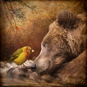 Maggy Pease - “The Gift” –  www.maggy.myportfolio.com