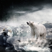 Rochelle Marshall - “Damnation” – www.darksapphirephotography.com