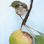 8th Place - Nicola Reif - “Autumn Feast 2” – www.nicolareif.com