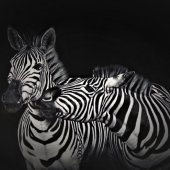 Honorable Mention – Esther Gane - “The Stolen Kiss” –  esther.gane@outlook.com