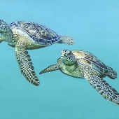 Honorable Mention – Dr Ann Lindahl - “2 Sea Turtles” – www.squareup.com/store/ann-lindahl-studio