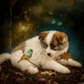 10th Place - Maggy Pease - “A New Friend” –  www.maggy.myportfolio.com