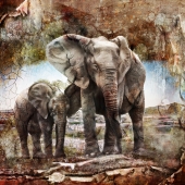 Honorable Mention - Rochelle Marshall - “Deva” – www.darksapphirephotography.com