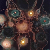 Bogart (1) Img #2 Night Garden