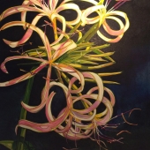 Boussom (1) Img #3 Spider Lily