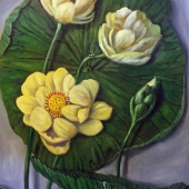 Burns (1) Img #1  Sacred Lotus