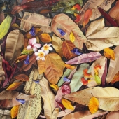 Cane (1) Img #2  Spring Flowers