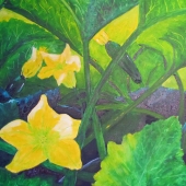 Clattenburg (2) Img #1 Zuchinni and Lady Bugs