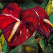 De Colibus (2) Img #1  Scarlet's Tears