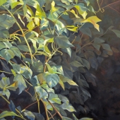 Duffin (1) Img #1  Entwined