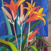 Eaton (1) Img #2  Daylilies