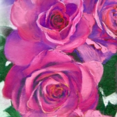 Evans (1) Img #1 Pink Roses